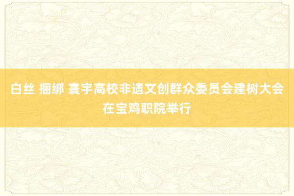 白丝 捆绑 寰宇高校非遗文创群众委员会建树大会在宝鸡职院举行