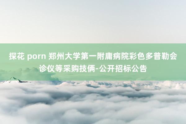 探花 porn 郑州大学第一附庸病院彩色多普勒会诊仪等采购技俩-公开招标公告