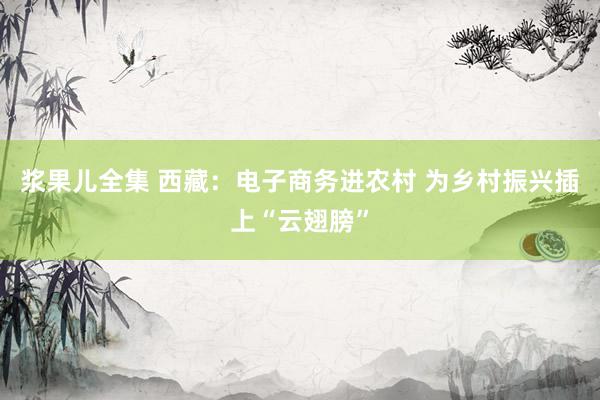 浆果儿全集 西藏：电子商务进农村 为乡村振兴插上“云翅膀”
