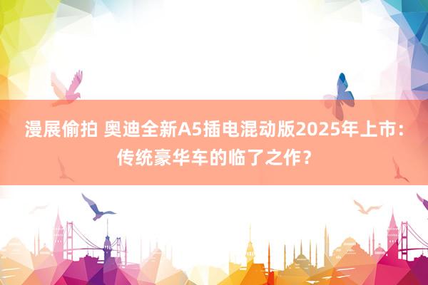 漫展偷拍 奥迪全新A5插电混动版2025年上市：传统豪华车的临了之作？