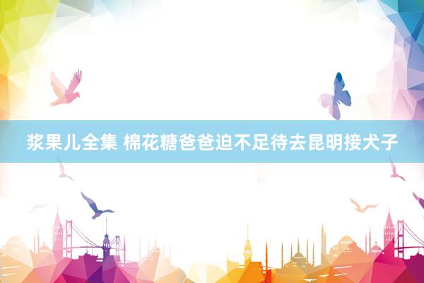 浆果儿全集 棉花糖爸爸迫不足待去昆明接犬子