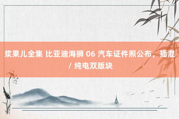 浆果儿全集 比亚迪海狮 06 汽车证件照公布，插混 / 纯电双版块
