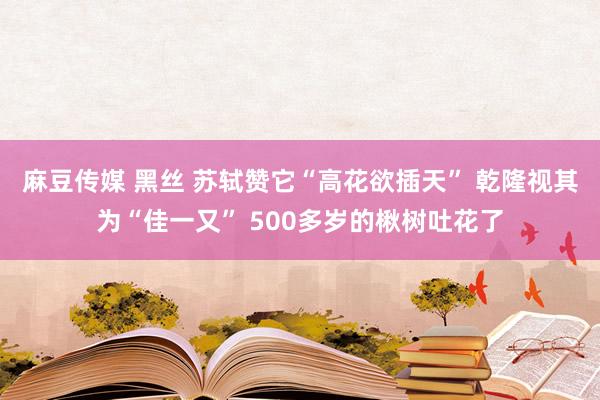 麻豆传媒 黑丝 苏轼赞它“高花欲插天” 乾隆视其为“佳一又” 500多岁的楸树吐花了