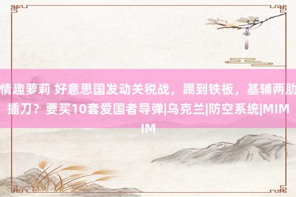 情趣萝莉 好意思国发动关税战，踢到铁板，基辅两肋插刀？要买10套爱国者导弹|乌克兰|防空系统|MIM