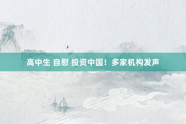 高中生 自慰 投资中国！多家机构发声