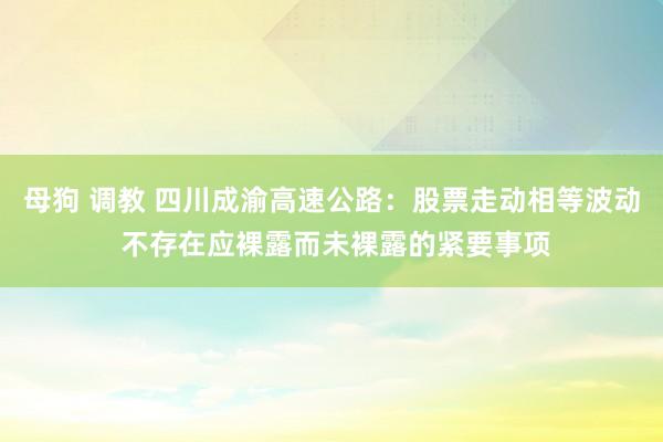 母狗 调教 四川成渝高速公路：股票走动相等波动 不存在应裸露而未裸露的紧要事项